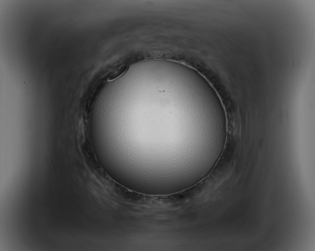 X0000086331493200704131705