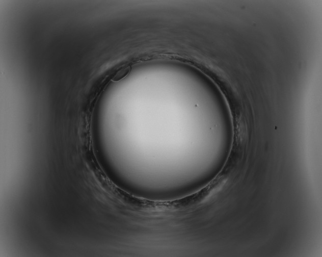 X0000086331494200704131705