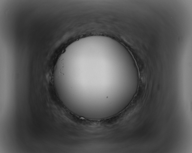X0000086331495200704131705