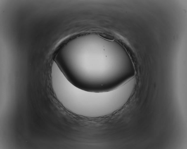 X0000086331496200704131705