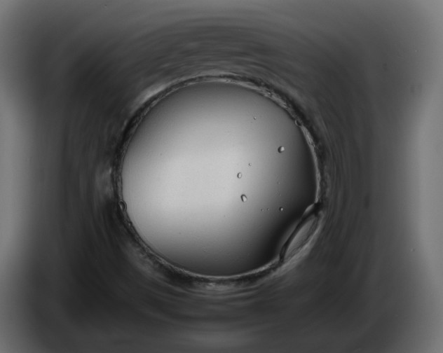 X0000086331497200704131705