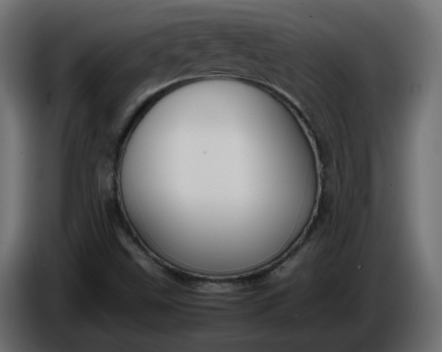 X0000086331499200704131705