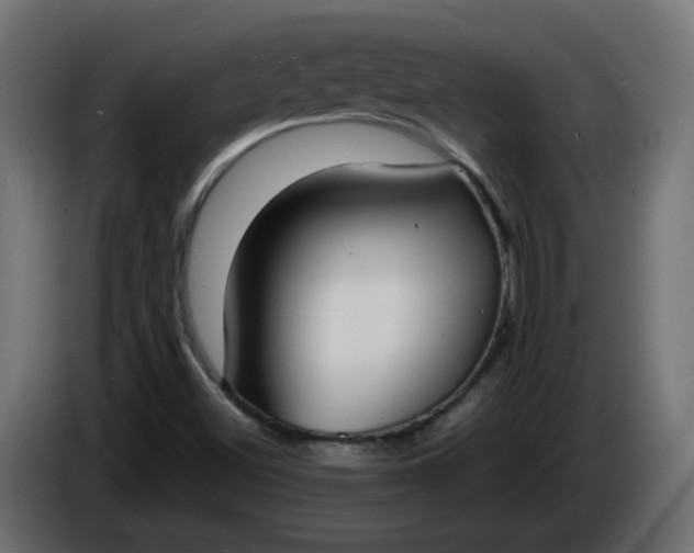 X0000086331500200704131705