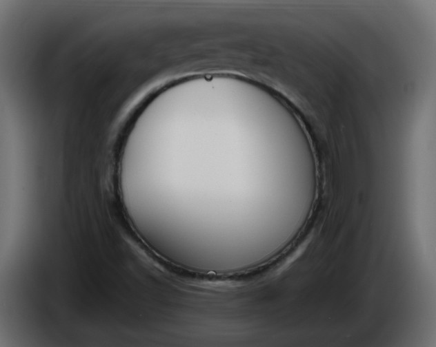 X0000086331502200704131705