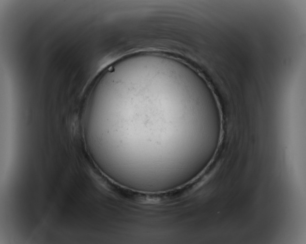X0000086331505200704131705