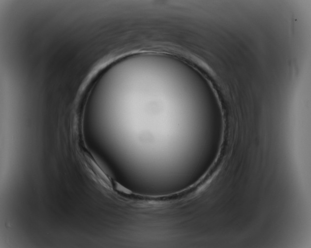 X0000086331506200704131705