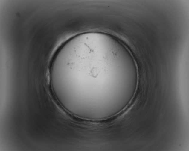 X0000086331509200704131705