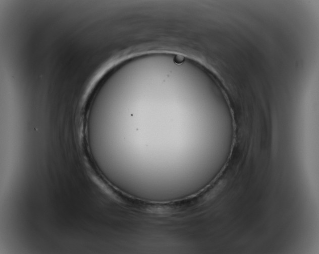 X0000086331511200704131705