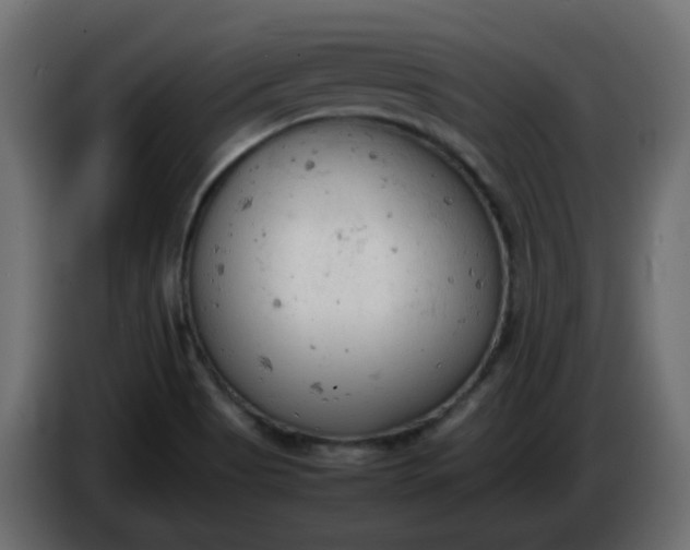 X0000086331513200704131705