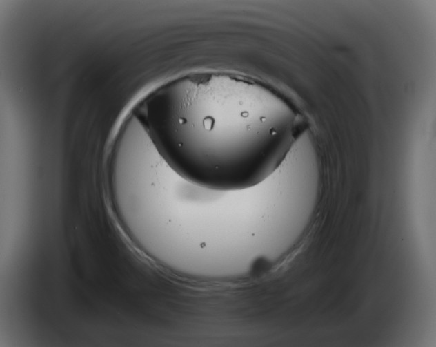 X0000086331514200704131705