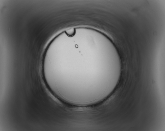 X0000086331518200704131705