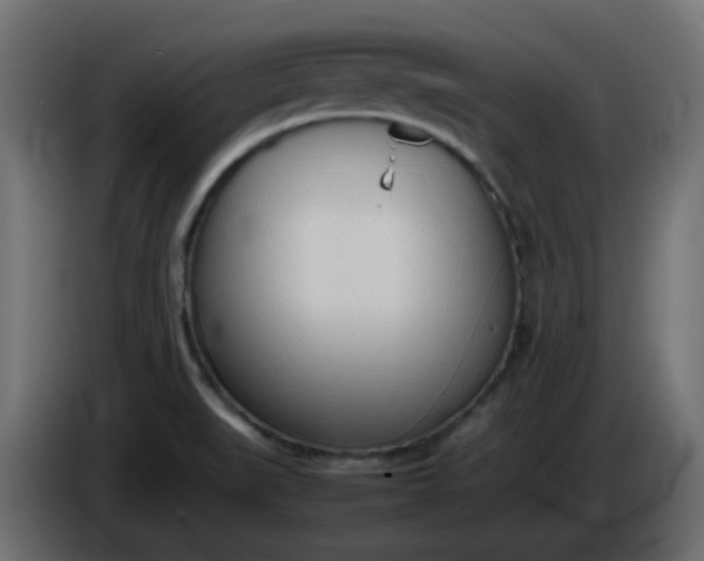 X0000086331519200704131705
