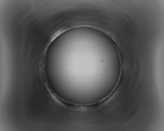 X0000086331521200704131706