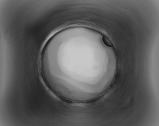X0000086331522200704131706