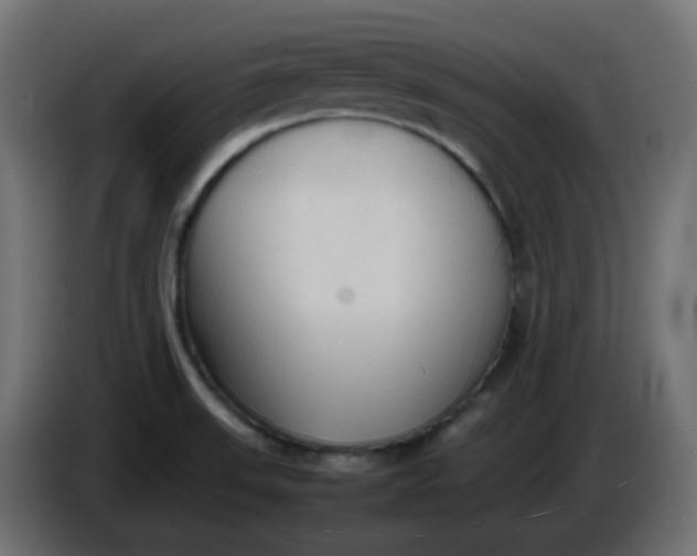 X0000086331523200704131706