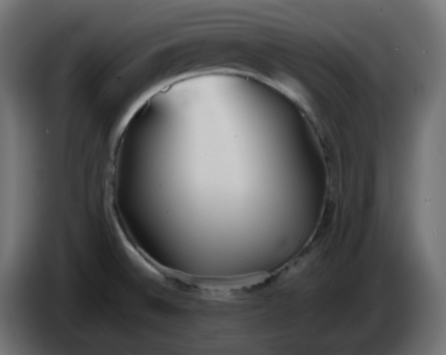 X0000086331524200704131706