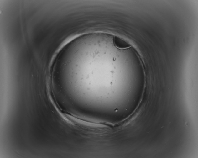 X0000086331525200704131706