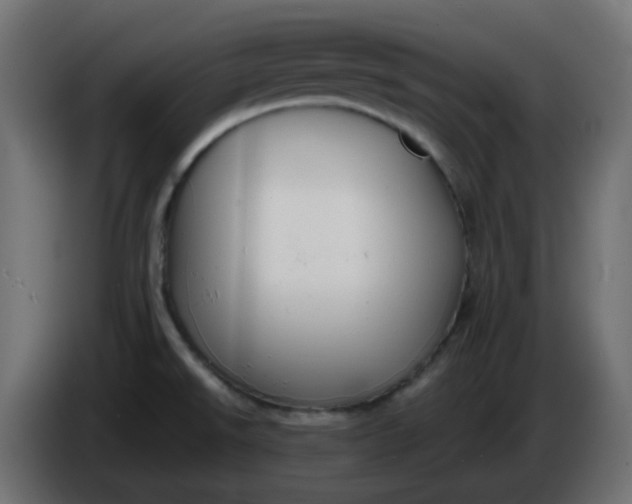 X0000086331526200704131706