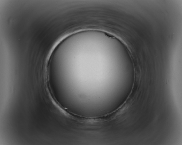 X0000086331527200704131706