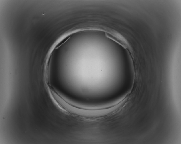 X0000086331528200704131706