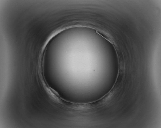 X0000086331530200704131706