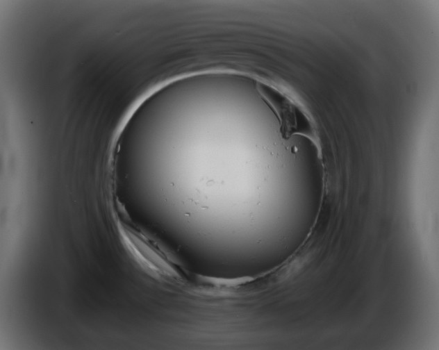 X0000086331532200704131706