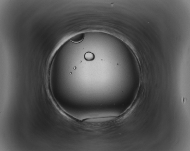 X0000086331533200704131706