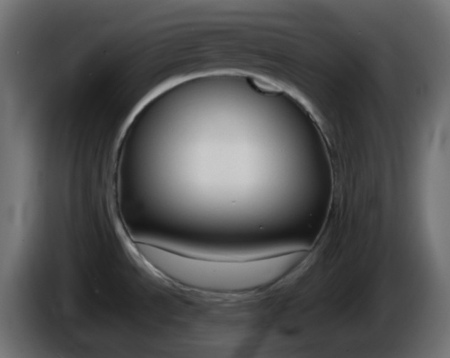 X0000086331534200704131706