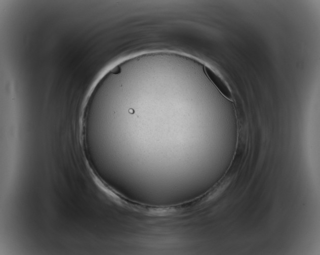 X0000086331535200704131706