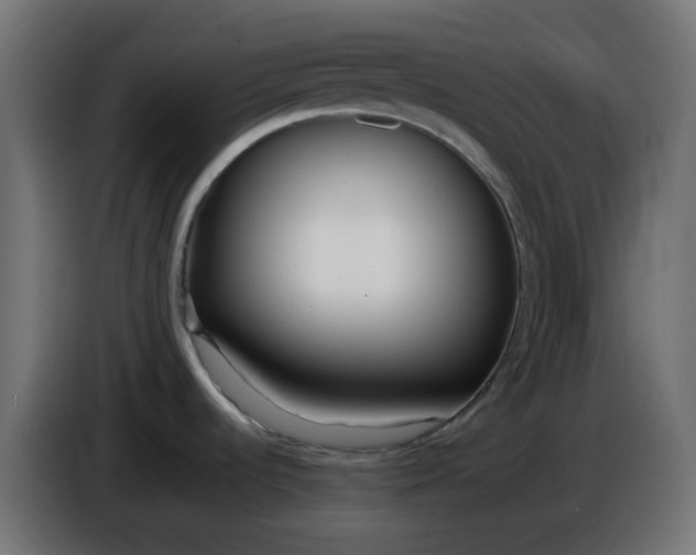 X0000086331536200704131706