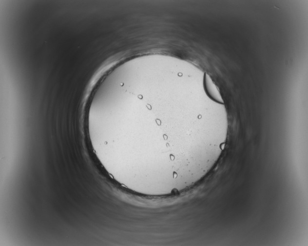 X0000086330006200704202050