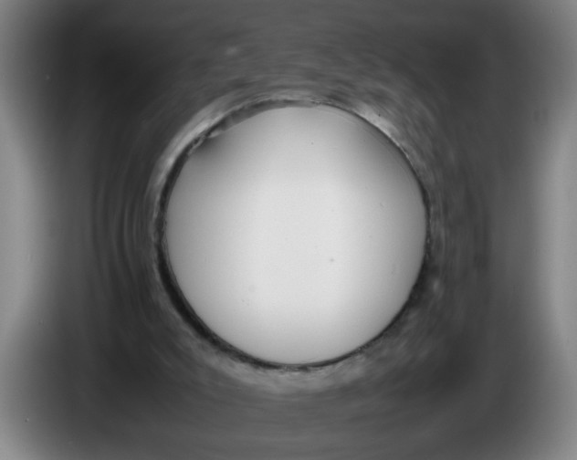 X0000086330007200704202050