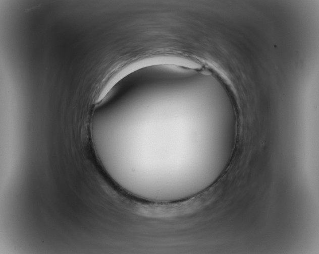 X0000086330009200704202050