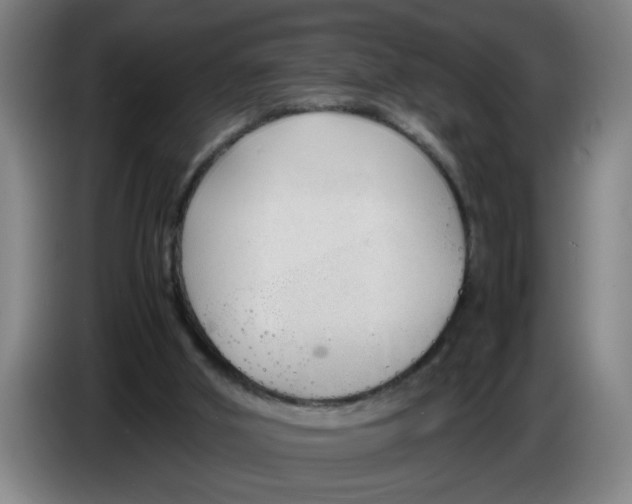 X0000086330010200704202050