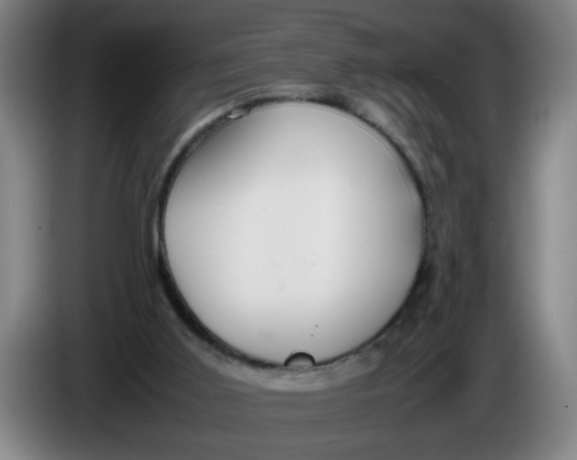 X0000086330011200704202050