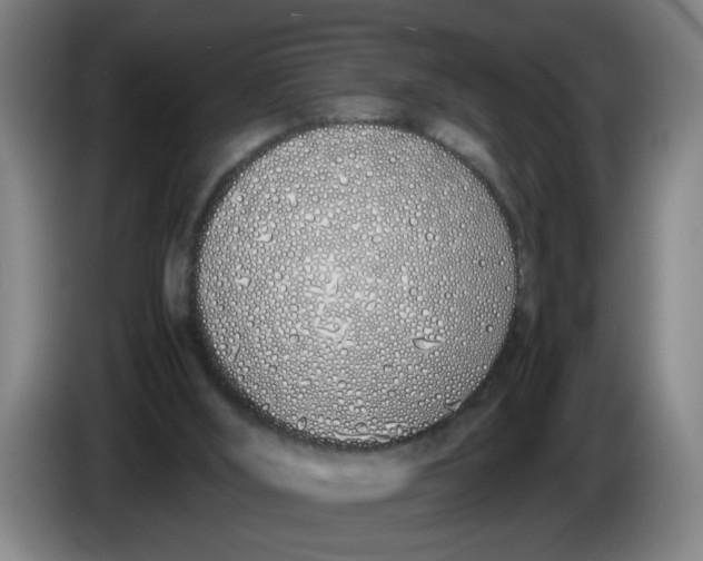 X0000086330012200704202050