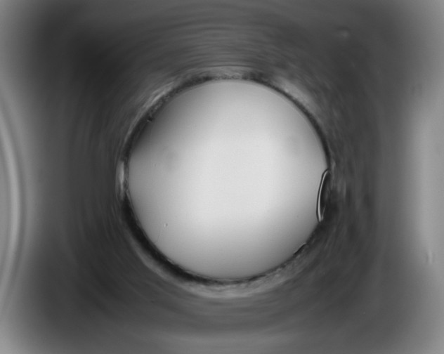 X0000086330013200704202050