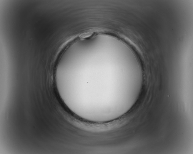 X0000086330015200704202050