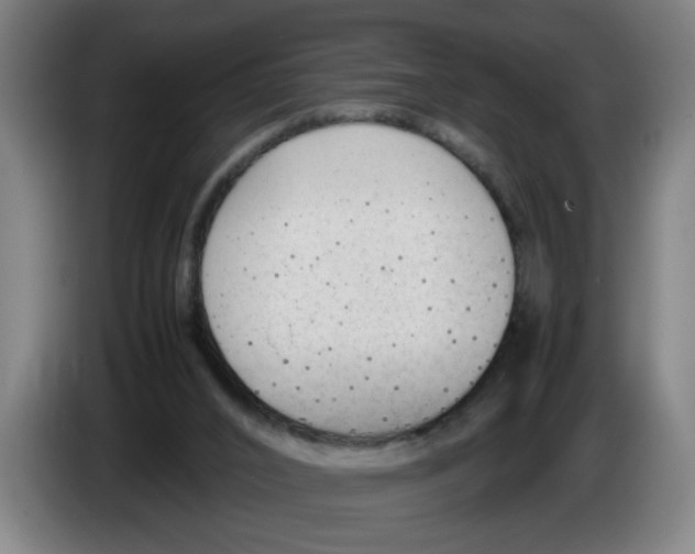 X0000086330016200704202050