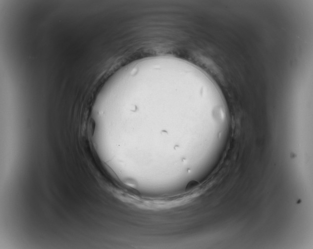 X0000086330018200704202050