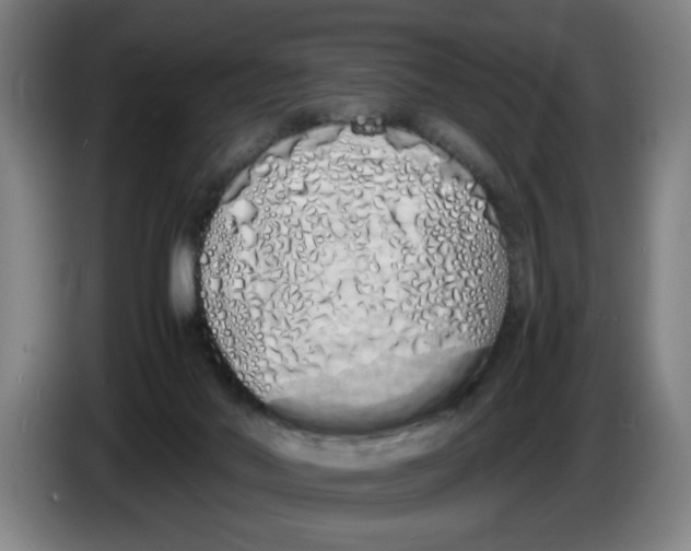 X0000086330022200704202050