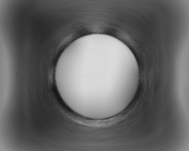 X0000086330023200704202050