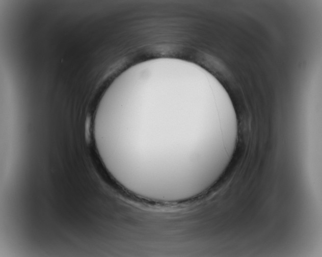 X0000086330024200704202050