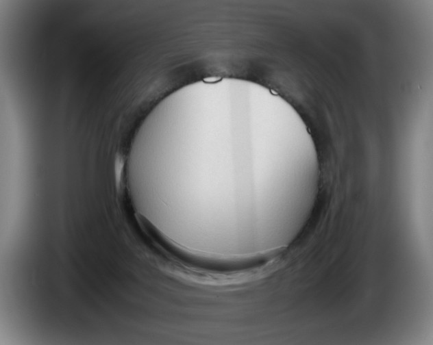 X0000086330027200704202050