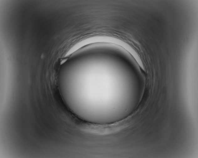 X0000086330029200704202050