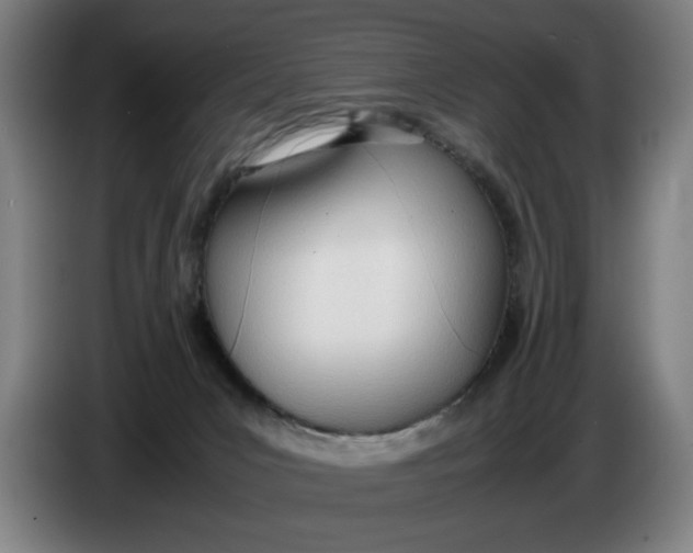 X0000086330031200704202050