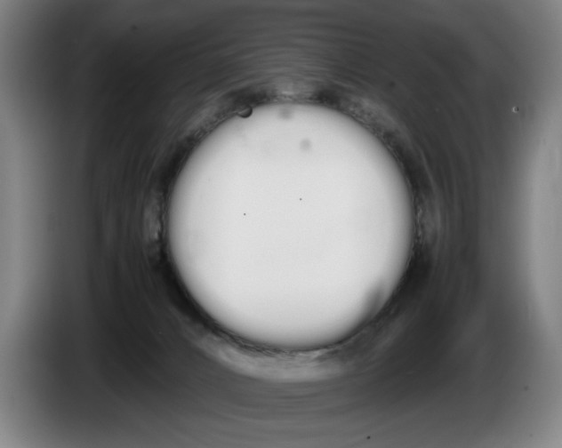 X0000086330032200704202050