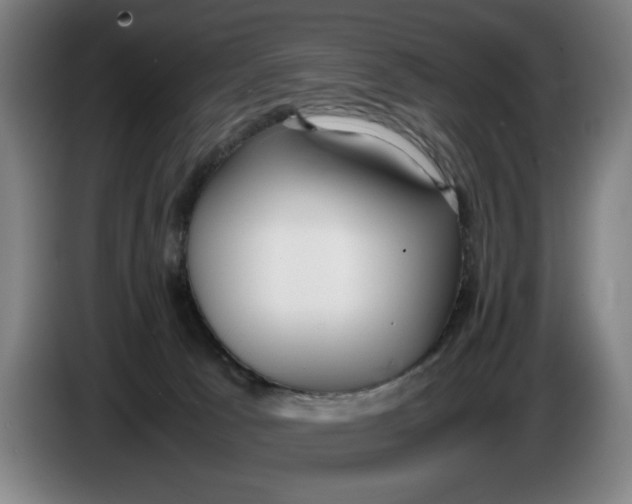 X0000086330033200704202050