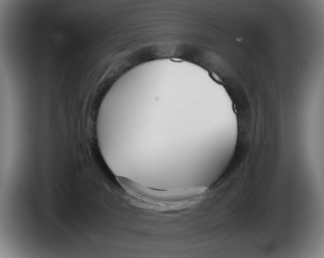 X0000086330035200704202050