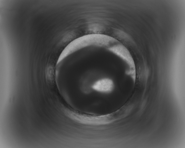 X0000086330036200704202050